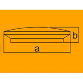 Firefly Functional Decorative LED Ceiling Lamp (Classic)